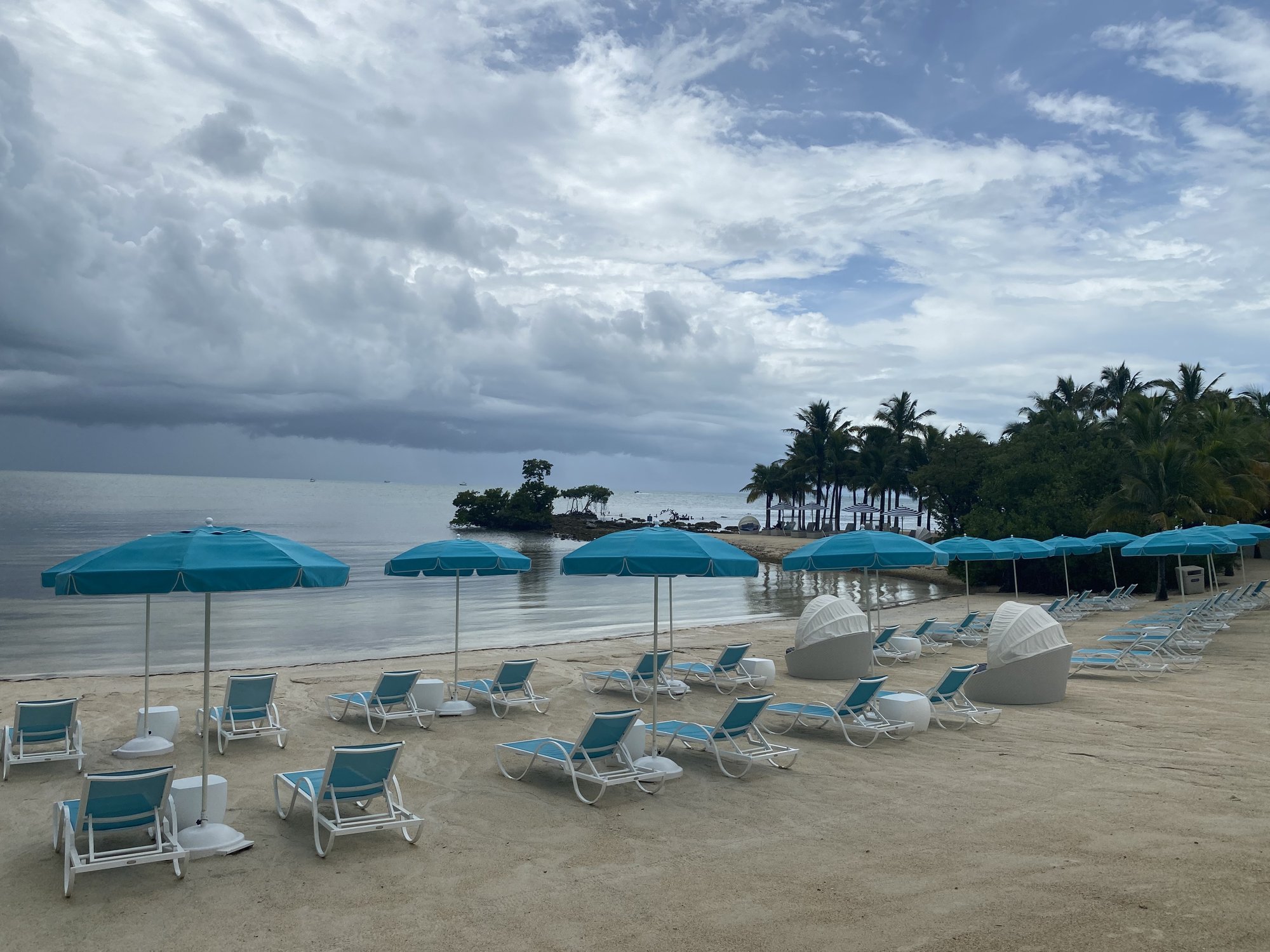Teal beach umbrellas with palm-lined shoreline